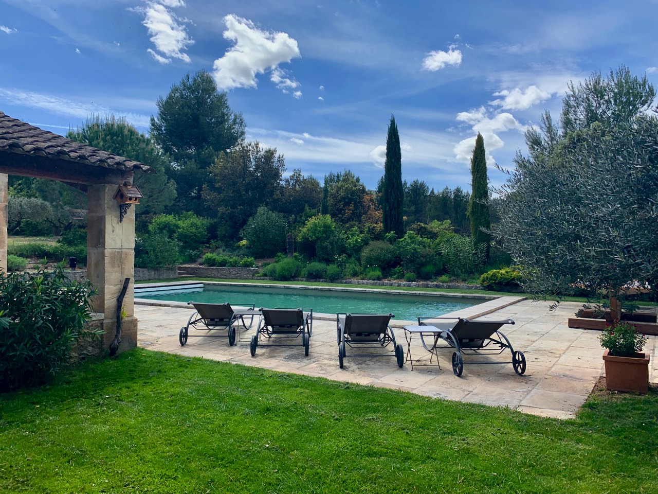 An idyllic backyard scene featuring a swimming pool surrounded by a lush garden, with cypress trees, an olive tree, and sun loungers near an outdoor structure.